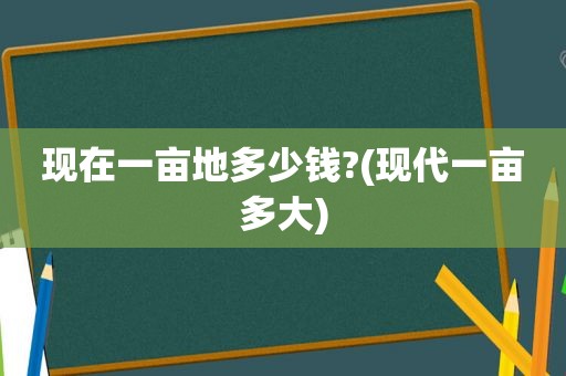 现在一亩地多少钱?(现代一亩多大)