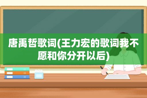 唐禹哲歌词(王力宏的歌词我不愿和你分开以后)