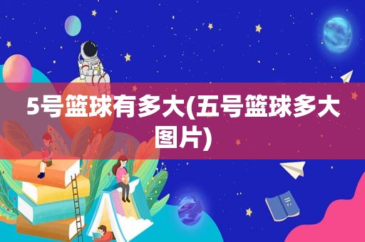 5号篮球有多大(五号篮球多大图片)