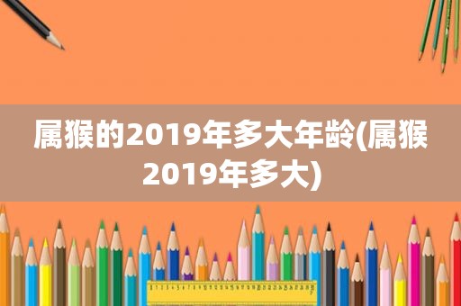 属猴的2019年多大年龄(属猴2019年多大)