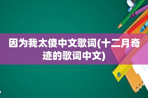 因为我太傻中文歌词(十二月奇迹的歌词中文)