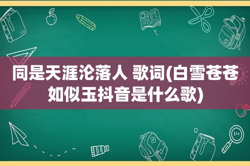 同是天涯沦落人 歌词(白雪苍苍如似玉抖音是什么歌)