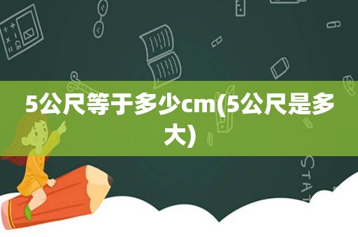 5公尺等于多少cm(5公尺是多大)