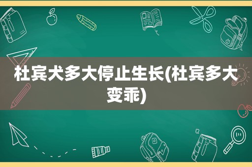 杜宾犬多大停止生长(杜宾多大变乖)