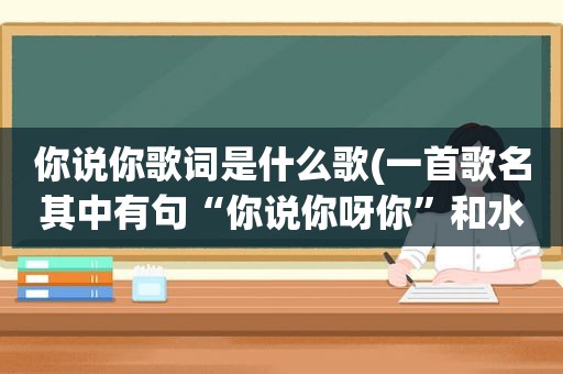 你说你歌词是什么歌(一首歌名其中有句“你说你呀你”和水调歌头里的词急求)