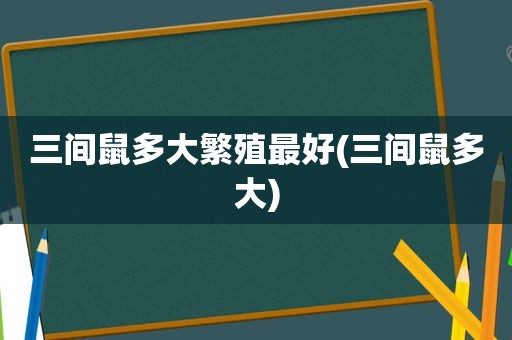 三间鼠多大繁殖最好(三间鼠多大)