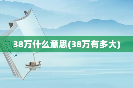 38万什么意思(38万有多大)