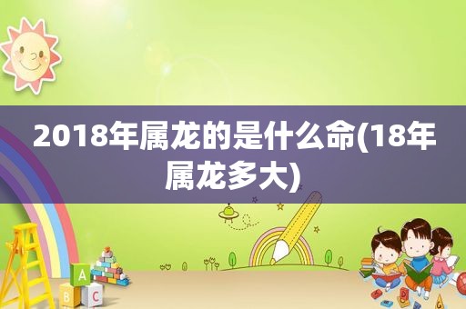 2018年属龙的是什么命(18年属龙多大)