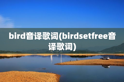 bird音译歌词(birdsetfree音译歌词)