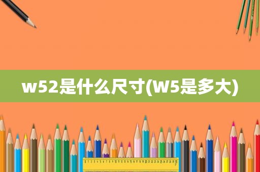 w52是什么尺寸(W5是多大)