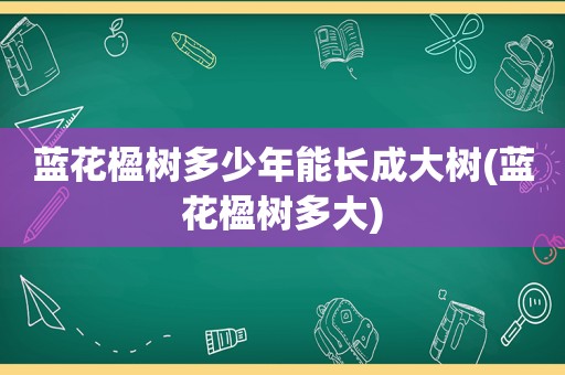 蓝花楹树多少年能长成大树(蓝花楹树多大)