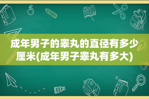 成年男子的睾丸的直径有多少厘米(成年男子睾丸有多大)