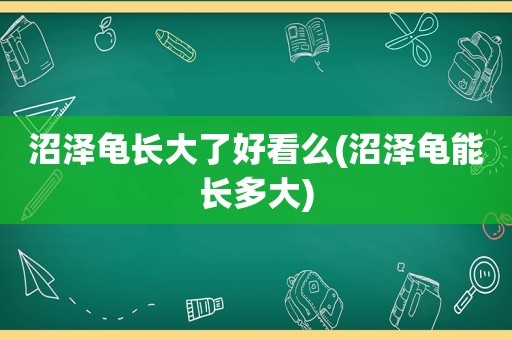 沼泽龟长大了好看么(沼泽龟能长多大)