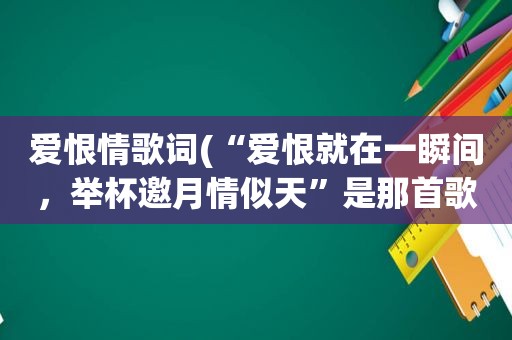 爱恨情歌词(“爱恨就在一瞬间，举杯邀月情似天”是那首歌里的词)