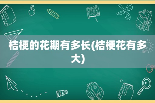 桔梗的花期有多长(桔梗花有多大)