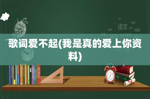 歌词爱不起(我是真的爱上你资料)