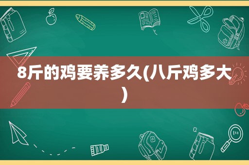 8斤的鸡要养多久(八斤鸡多大)