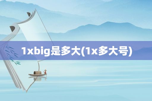 1xbig是多大(1x多大号)