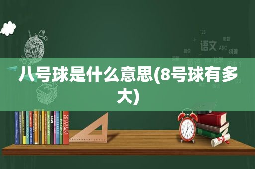 八号球是什么意思(8号球有多大)