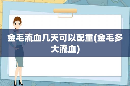 金毛流血几天可以配重(金毛多大流血)