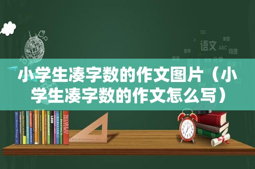 小学生凑字数的作文图片（小学生凑字数的作文怎么写）