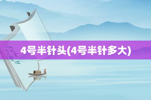 4号半针头(4号半针多大)