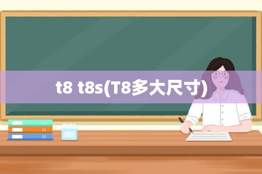 t8 t8s(T8多大尺寸)