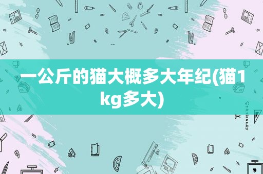 一公斤的猫大概多大年纪(猫1kg多大)