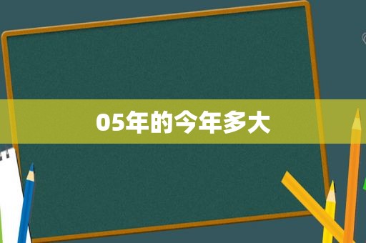 05年的今年多大