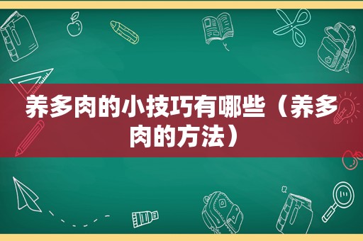 养多肉的小技巧有哪些（养多肉的方法）