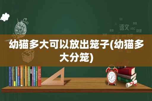 幼猫多大可以放出笼子(幼猫多大分笼)