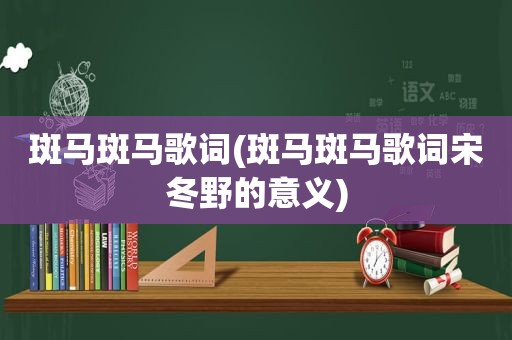 斑马斑马歌词(斑马斑马歌词宋冬野的意义)