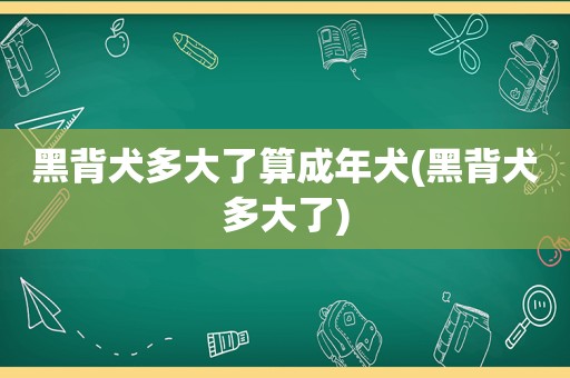 黑背犬多大了算成年犬(黑背犬多大了)