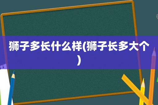 狮子多长什么样(狮子长多大个)