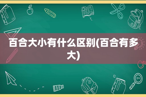 百合大小有什么区别(百合有多大)