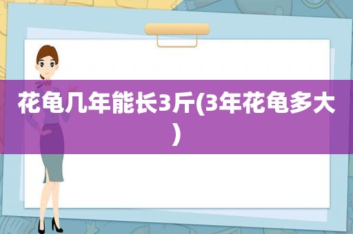 花龟几年能长3斤(3年花龟多大)