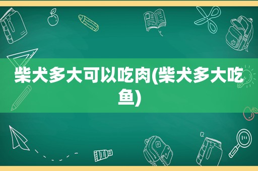 柴犬多大可以吃肉(柴犬多大吃鱼)