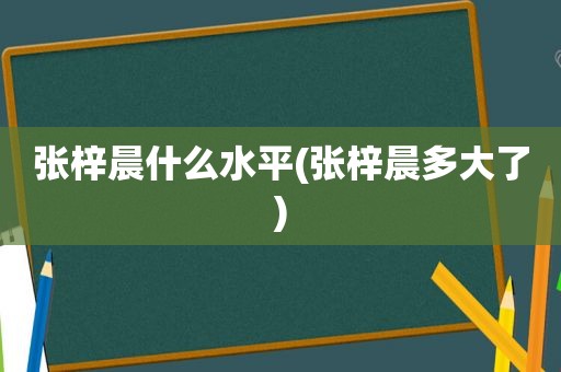 张梓晨什么水平(张梓晨多大了)