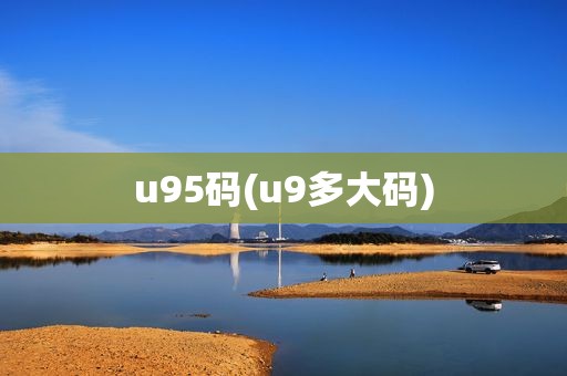 u95码(u9多大码)