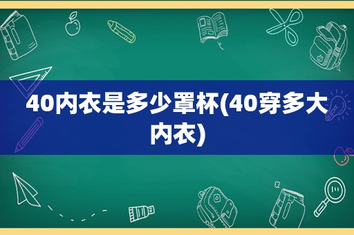 40内衣是多少罩杯(40穿多大内衣)