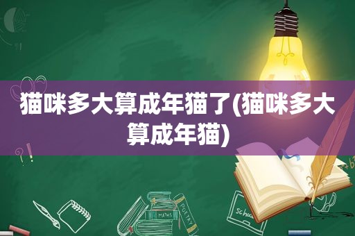 猫咪多大算成年猫了(猫咪多大算成年猫)