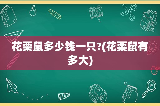 花栗鼠多少钱一只?(花粟鼠有多大)