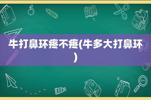 牛打鼻环疼不疼(牛多大打鼻环)