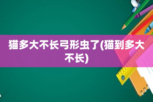 猫多大不长弓形虫了(猫到多大不长)