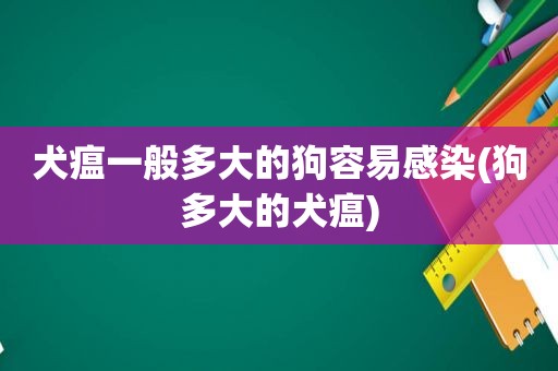 犬瘟一般多大的狗容易感染(狗多大的犬瘟)