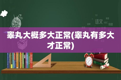 睾丸大概多大正常(睾丸有多大才正常)