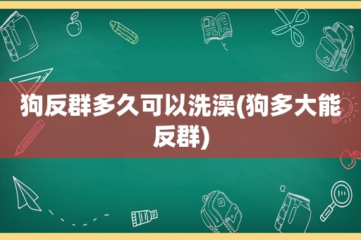 狗反群多久可以洗澡(狗多大能反群)