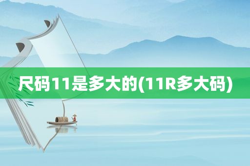 尺码11是多大的(11R多大码)