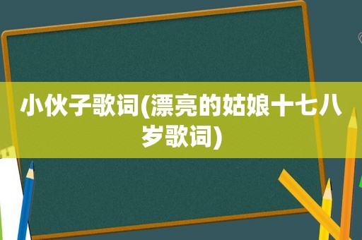 小伙子歌词(漂亮的姑娘十七八岁歌词)