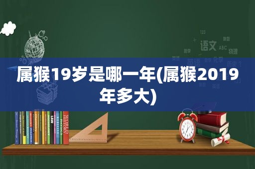 属猴19岁是哪一年(属猴2019年多大)